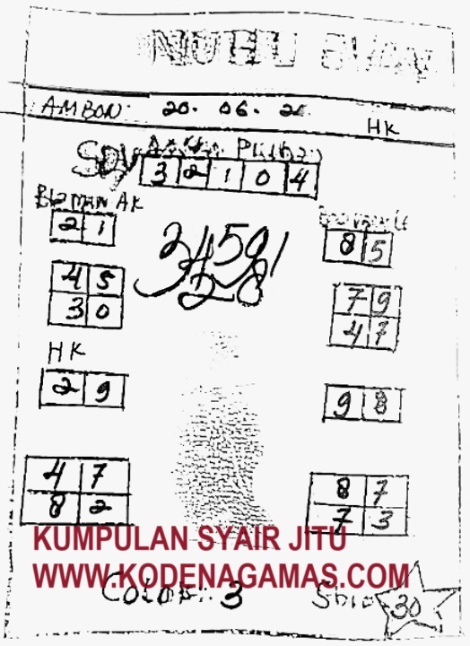 SYAIR SGP VIP